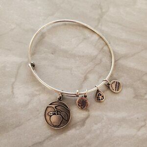 🍎 Alex and Ani Silver Apple Expandable Bangle Charm Bracelet Teacher 🍎